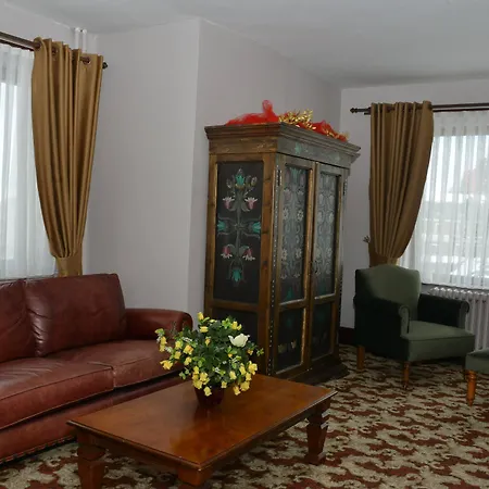 Le Yazici