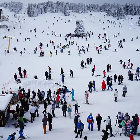 لو يازجي فندق