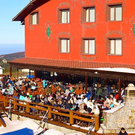 Le Yazici